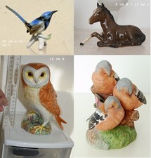 AU CHOIX oiseau cheval