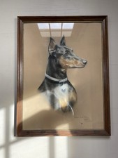 Framed Vintage Doberman  Art Dog Portrait Drawing Signed Wall Decor 20”w x 25”h
