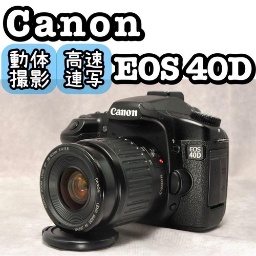 Appareil photo reflex