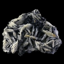 ★☆ BARYTINE GARD de