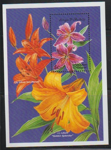 Antigua barbuda 1999 - antigua, fleurs