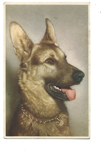 Fantaisie illustration chien - -,