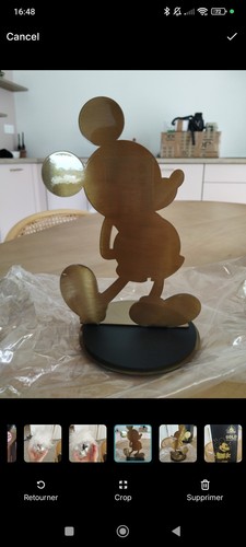 Disney édition limitée - Édition,
