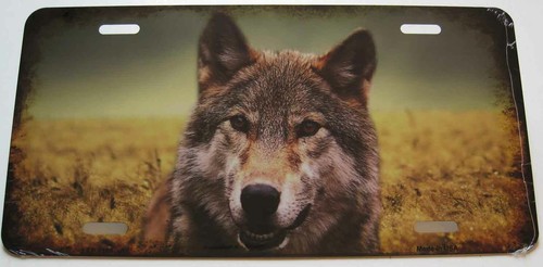 Plaque auto usa loup - plaque,