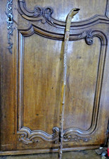 CANNE DE COLLECTION  EN BOIS