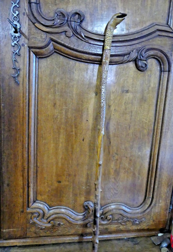Canne collection en bois - canne,