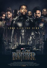 2018 Black Panther Movie