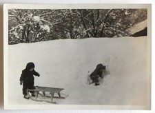 Children small sledge wood snow winter mittens - old photo snapshot 1953