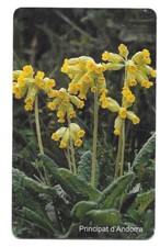 RARE / TELEPHONE CARD - FLOWER CUCKOO NARCISSUS PRIMEVERE / PHONECARD
