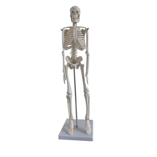 Modèle simulation de - modèle,