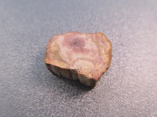 Madagascar petrified wood - madagascar,