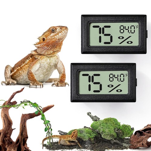 Palksky bearded dragon tank - bearded,