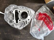 Cylindre nu 12100-AWA-000 pour