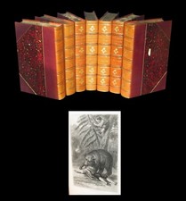 CURIOSA EROTISME Reliures