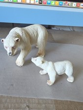 famille Ours Polaire   2