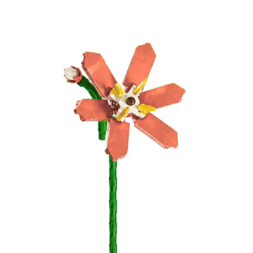 Fleur tige crocosmia bloc - fleur, de