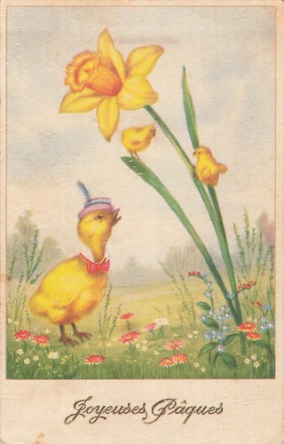 Illustree paques poussin - cp,