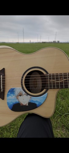 Washburn bella tono suprema - washburn,
