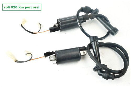 Suzuki 1000 02 bobines - tl, r