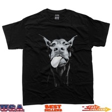 Confident Doberman With