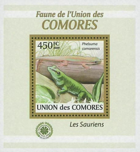 Lizard stamp sauria - lizard,