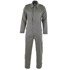 Authentic Pays Bas Armée