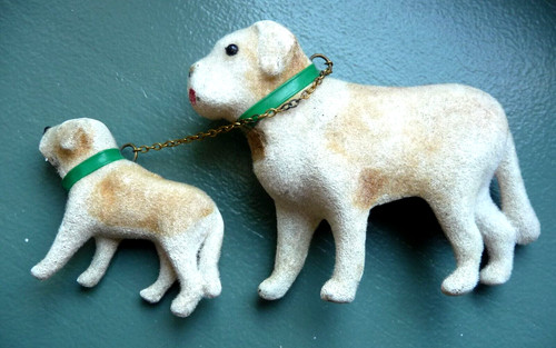 Anciens chiens saint - chiens,