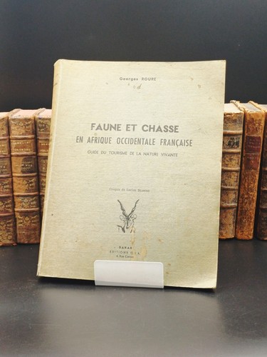 Faune chasse en afrique - 🌍faune,