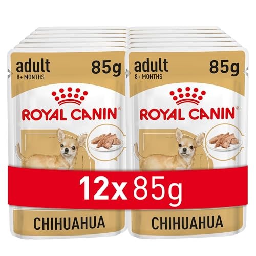 Royal canin chihuahua - royal,