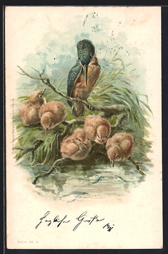 Lithographie oiseau glace - oiseau, de