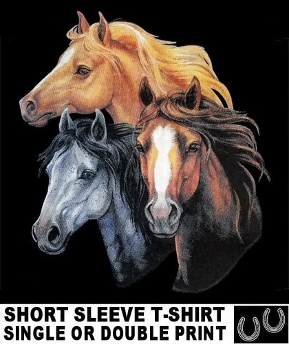 Palomino thoroughbred - palomino,
