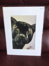 Giclee Black Panther A4 Mounted Print