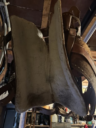 Selle américaine cheval - de,