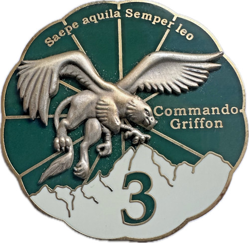 Rgt dragons - 13°,