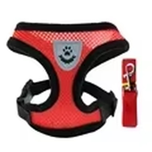 Harnais pour chien laisse - harnais, de