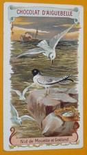 CHROMO 1910-1930 CHOCOLAT
