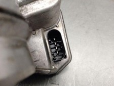 780438404 corps de papillon