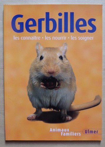 Gerbilles les connaître - gerbilles,