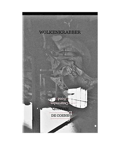 Wolkenkrabber coene - de,