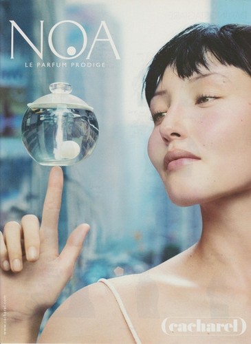 Publicité papier - ,