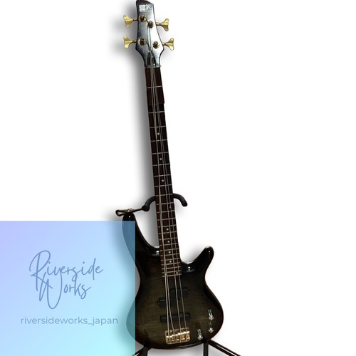 Basse électrique ibanez sdgr - électrique,