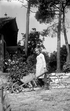Gardening Little Girl Wheelbarrow Garden Flowers - Antique Year Photo Negative. 1950