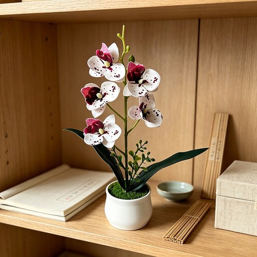 Plante orchidée - plante, d'orchidée