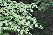 [Testé !/Presque comme neuf-]