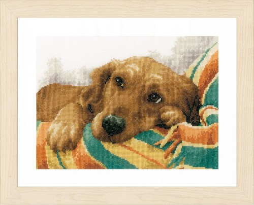 Lanarte 0157432 petit - ,