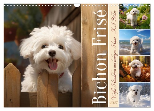Calendrier 2027 french - 2027,
