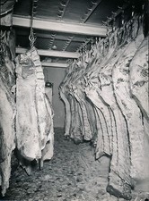 Butchery c. 1950 - fridge room - DIV 9113