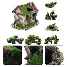 Décoration aquarium maison