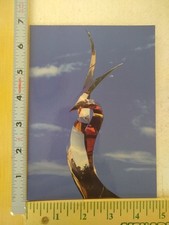 Postcard Ceres Bronze by John Raimondi