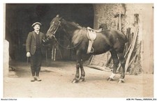 AOBP4-0228-ANIMALS - Horse - Photo Frame